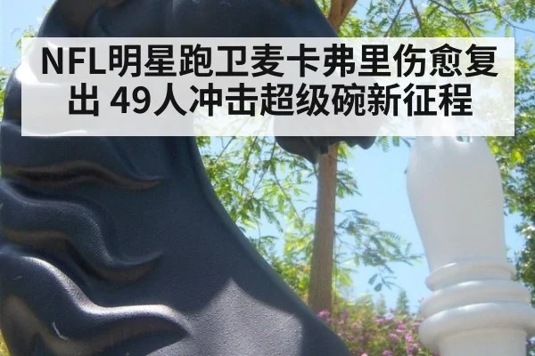 NFL明星跑卫麦卡弗里伤愈复出 49人冲击超级碗新征程