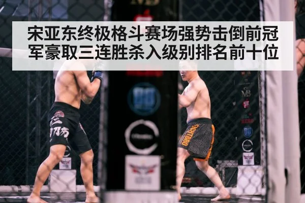 MMA cage fight