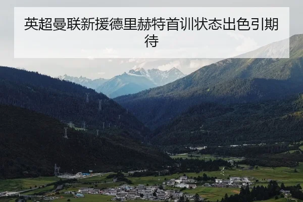 英超曼联新援德里赫特首训状态出色引期待