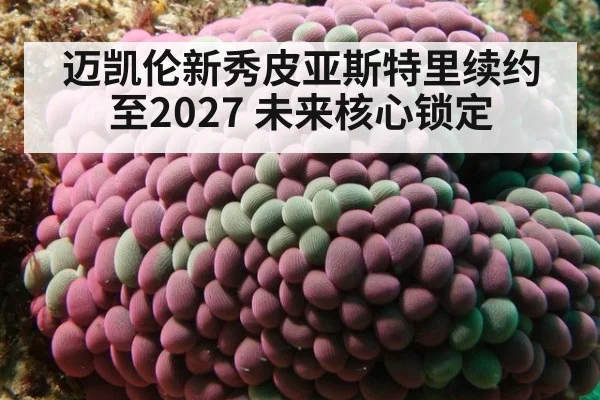 迈凯伦新秀皮亚斯特里续约至2027 未来核心锁定